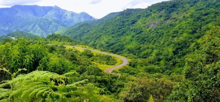 Mambilla Plateau, Gembu